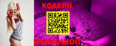 прущие крисы Гатчина