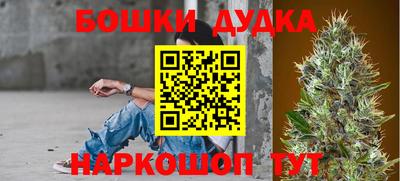 прущие крисы Гатчина