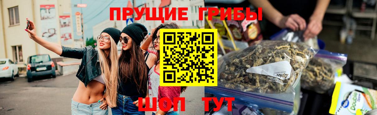 Галлюциногенные грибы прущие грибы  Вход с VPN  Псилоцибиновые грибы прущие грибы  Зерноград 